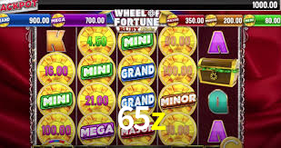 65z,65z.com